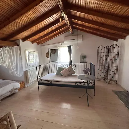 Gazde/Camere de închiriat Beyaz Ev