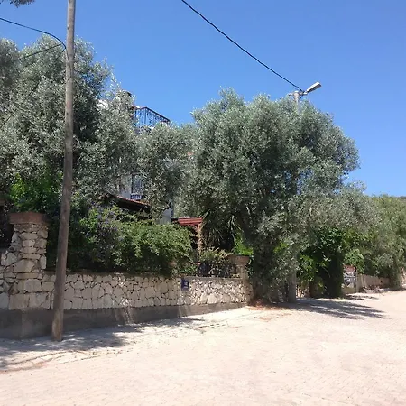 Beyaz Ev 塞费里希萨尔