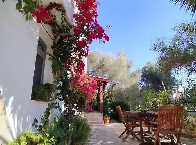 Beyaz Ev * セェフェリヒサール