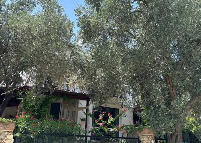 Kwatera prywatna Beyaz Ev